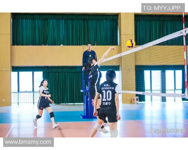 南京排球队的精神探源与竞技魅力全景揭秘