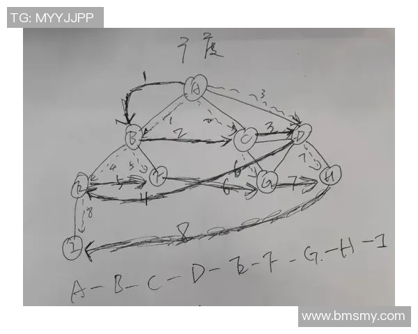 数据分析揭示IG灵活性表现的深度与广度探讨