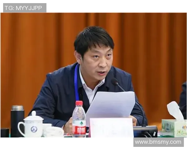 武汉飞盘队个人能力分析与表现评估探讨