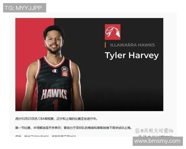 武汉篮球队个人能力引发热议球迷观点各异的背后故事